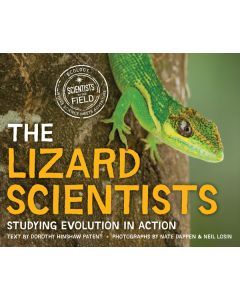 The Lizard Scientists: Studying Evolution in Action