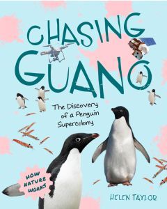 Chasing Guano: The Discovery of a Penguin Supercolony