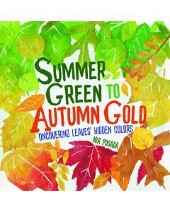 Summer Green to Autumn Gold: Uncovering Leaves' Hidden Colors